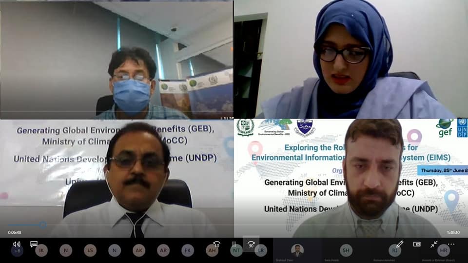 Presenters & participants during the online "Exploring the role of Infographics for EIMS" meeting.