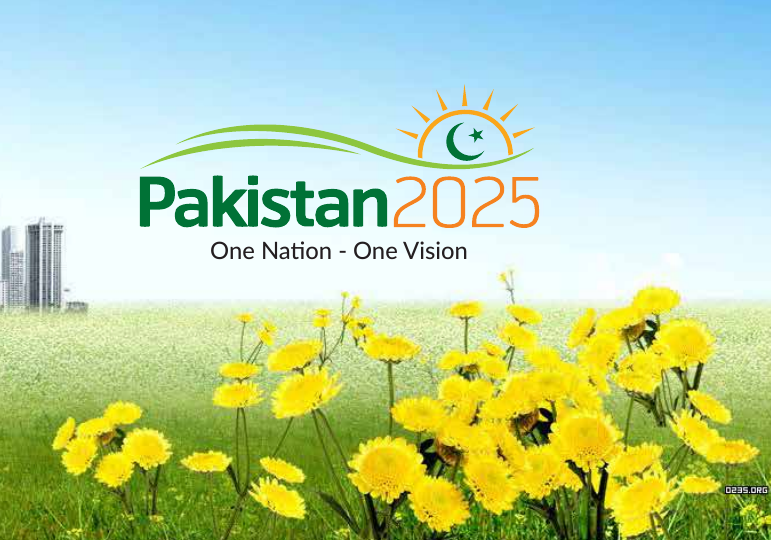 Cover image for Pakistan Vision 2025